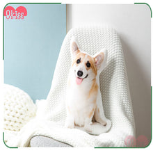 Laden Sie das Bild in den Galerie-Viewer, Dein Haustier als individuelles Kissen